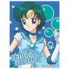 Sailor Moon Sailor Mercury Wall Scroll